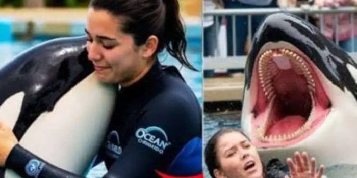 Siapa Jessica Radcliffe? Sosok di Balik Video Hoaks