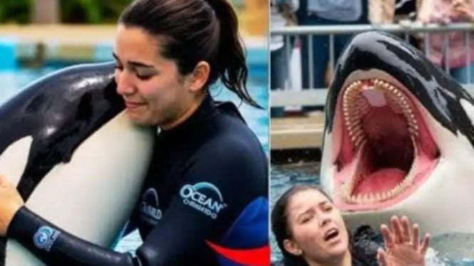 Siapa Jessica Radcliffe? Sosok di Balik Video Hoaks