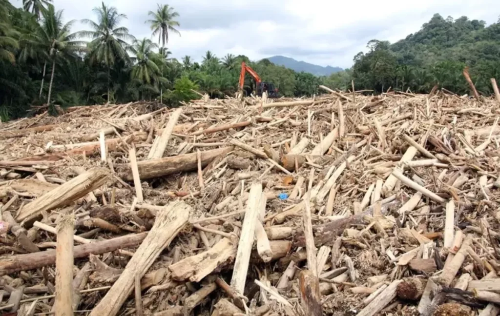 Siapa Penyebab Kayu Gelondongan Terbawa Banjir? Polri Selidiki Jejak Chainsaw di Aceh hingga Sumatera