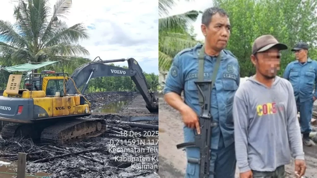 Tambang Ilegal Digerebek di Taman Nasionl Kutai, Tujuh Ekskavator dan Empat Orang Diamankan